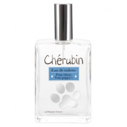 Parfum Caine Cherubin Puppy...