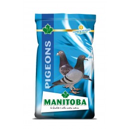 Manitoba hrana porumbei...
